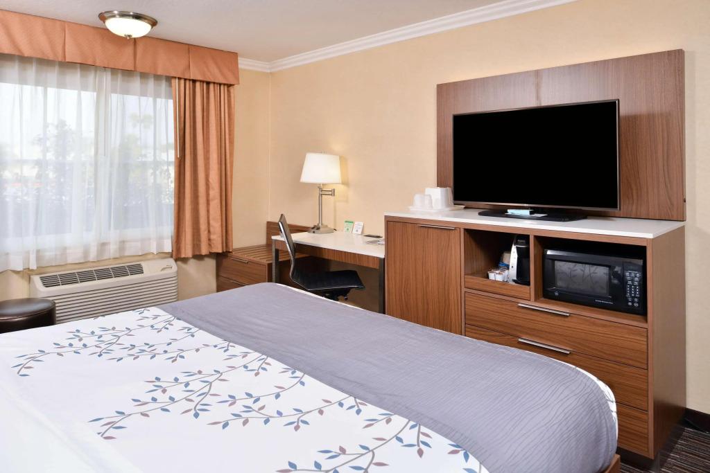 hotel image 23