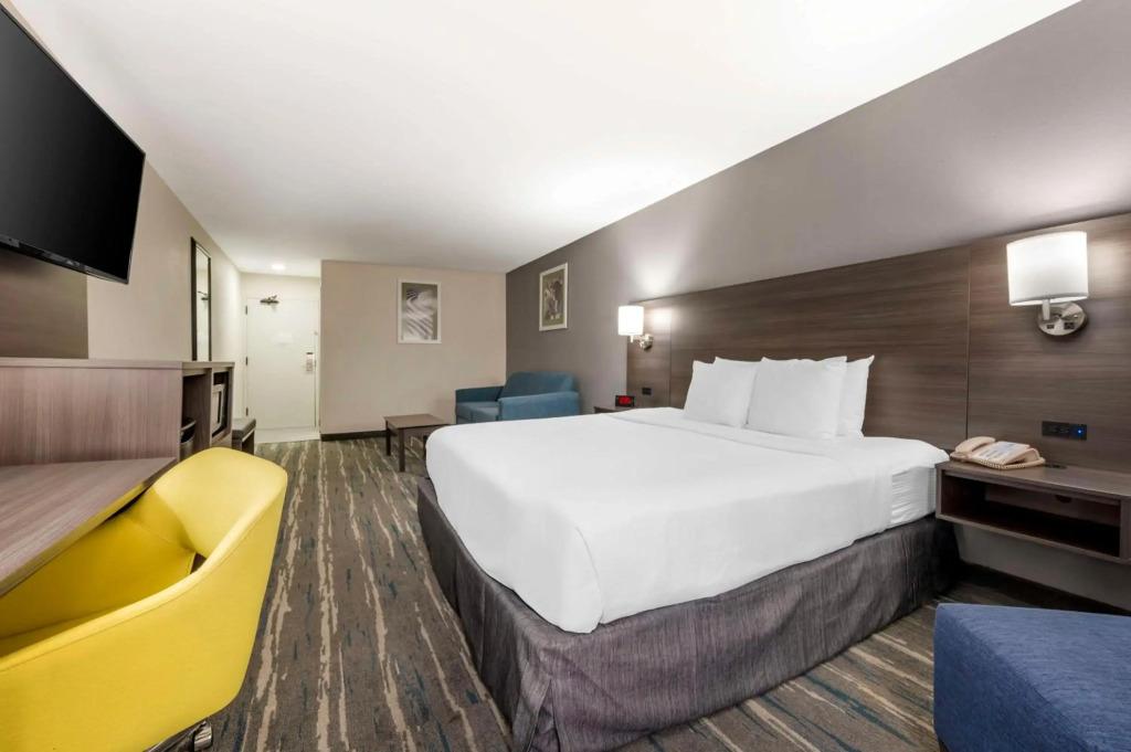 hotel image 30
