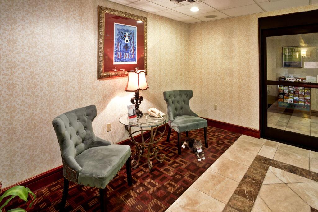 hotel image 8