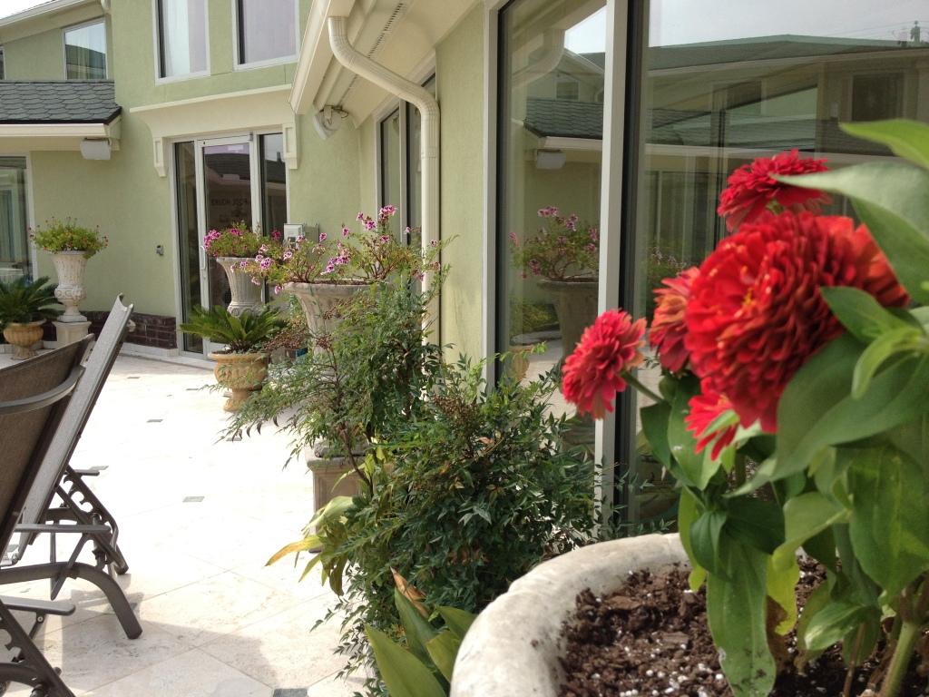 hotel image 15