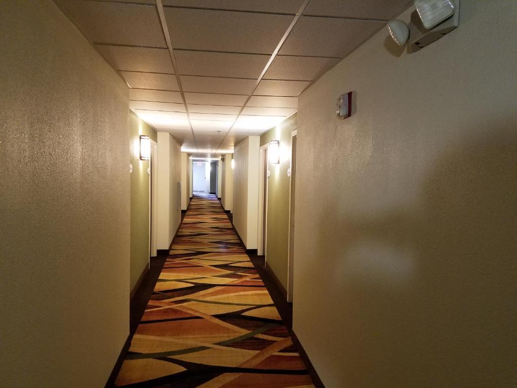 hotel image 19