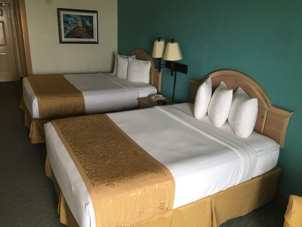 hotel image 50