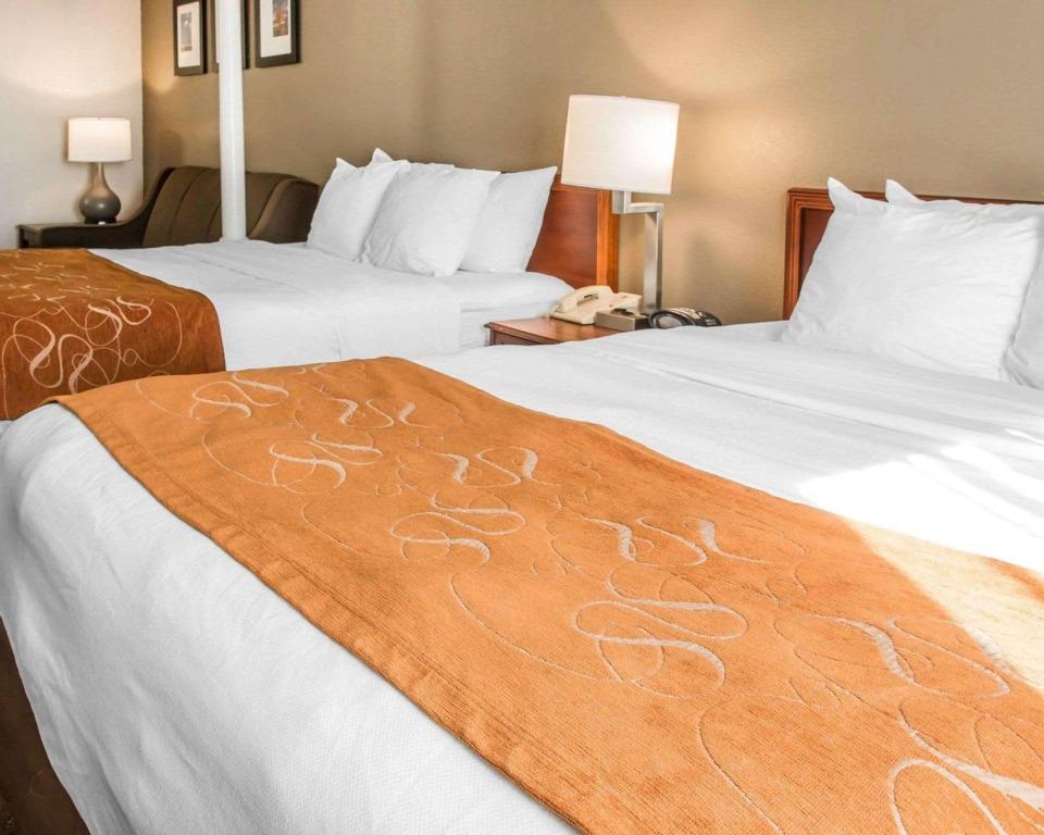 hotel image 21