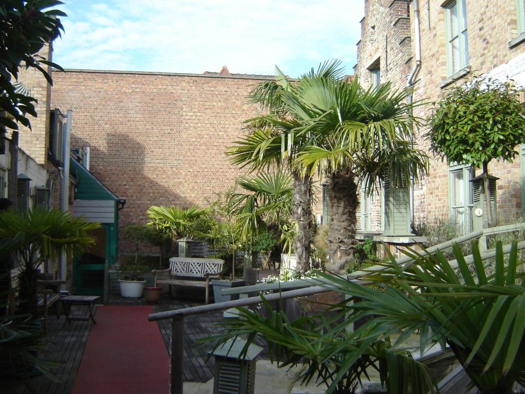 hotel image 23