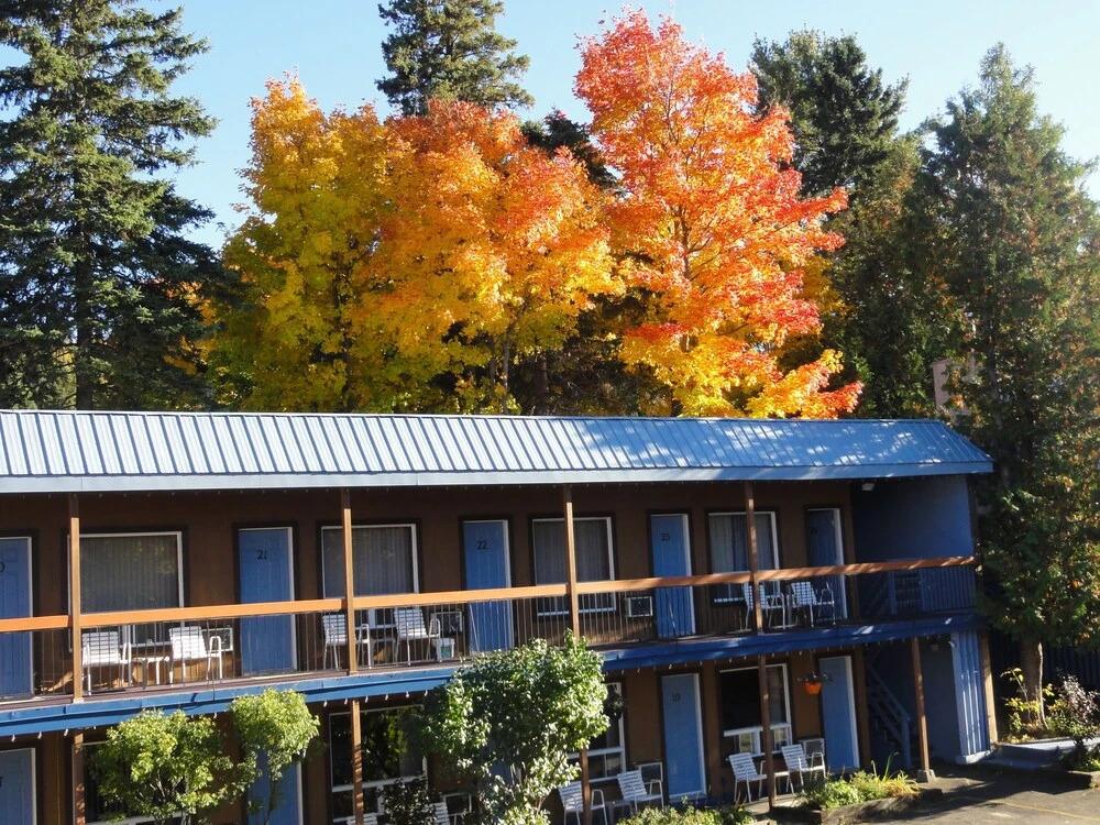 hotel image 9