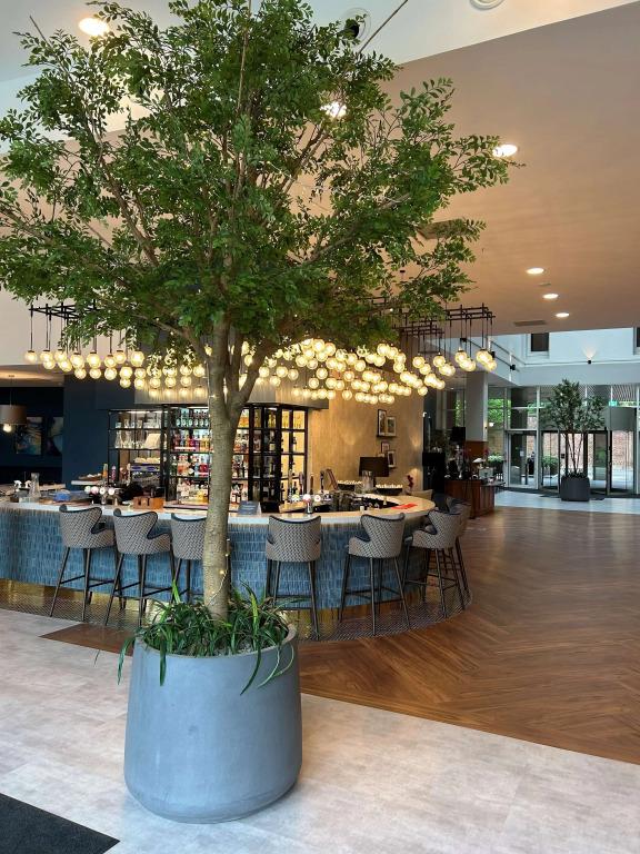 hotel image 22