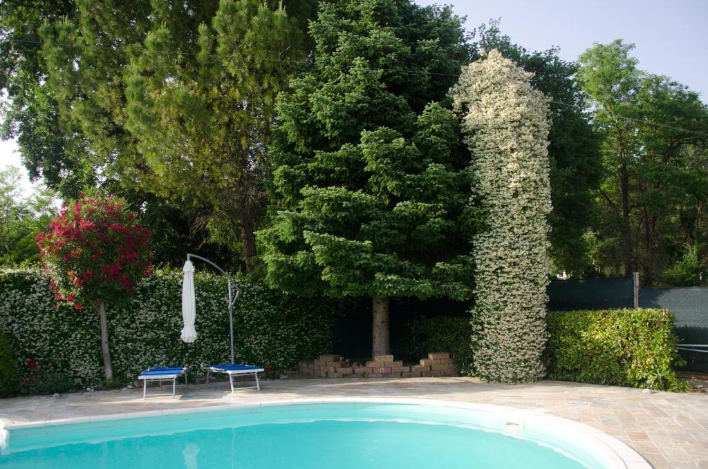 hotel image 15
