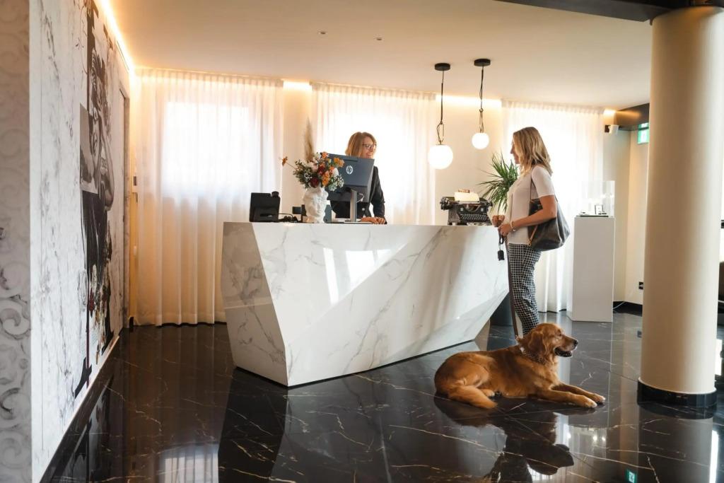 hotel image 11