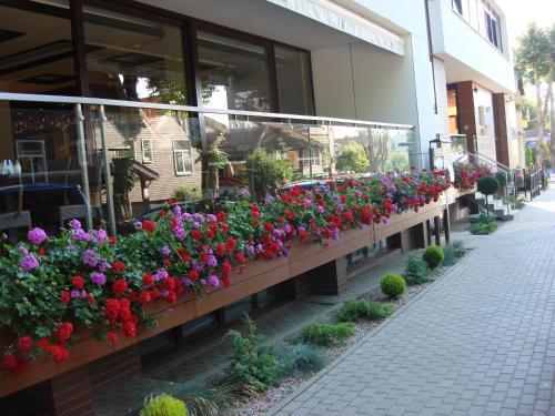 hotel image 7