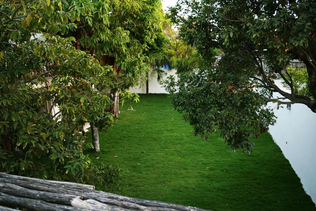 hotel image 21