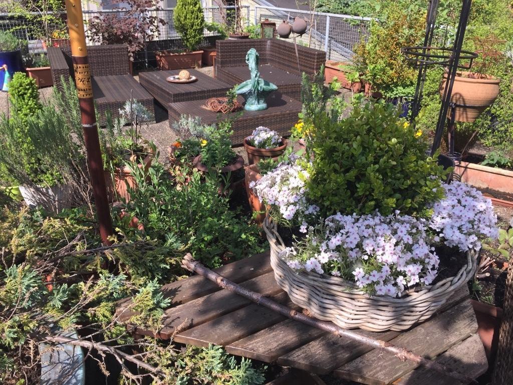 hotel image 10