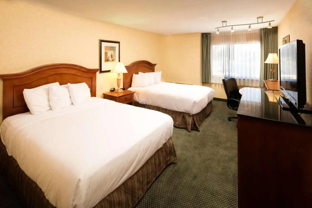 hotel image 47