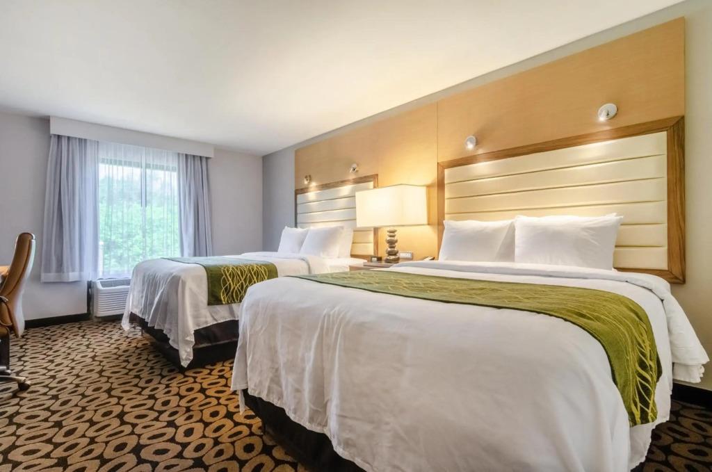 hotel image 42