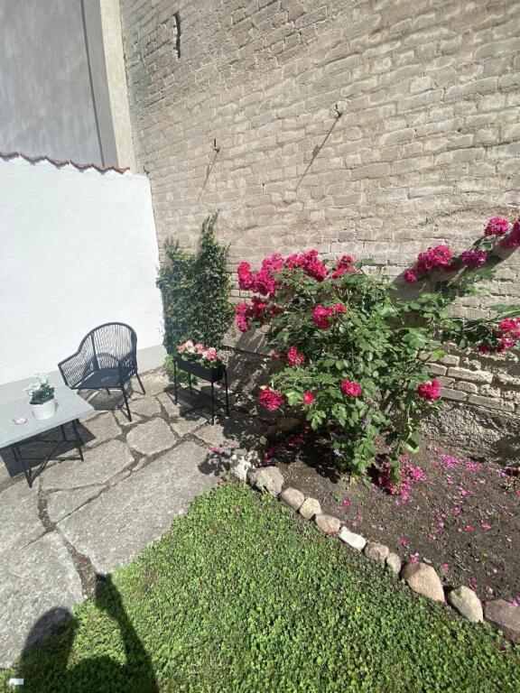 hotel image 8