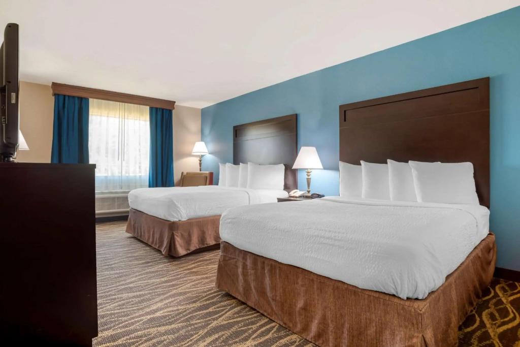 hotel image 30