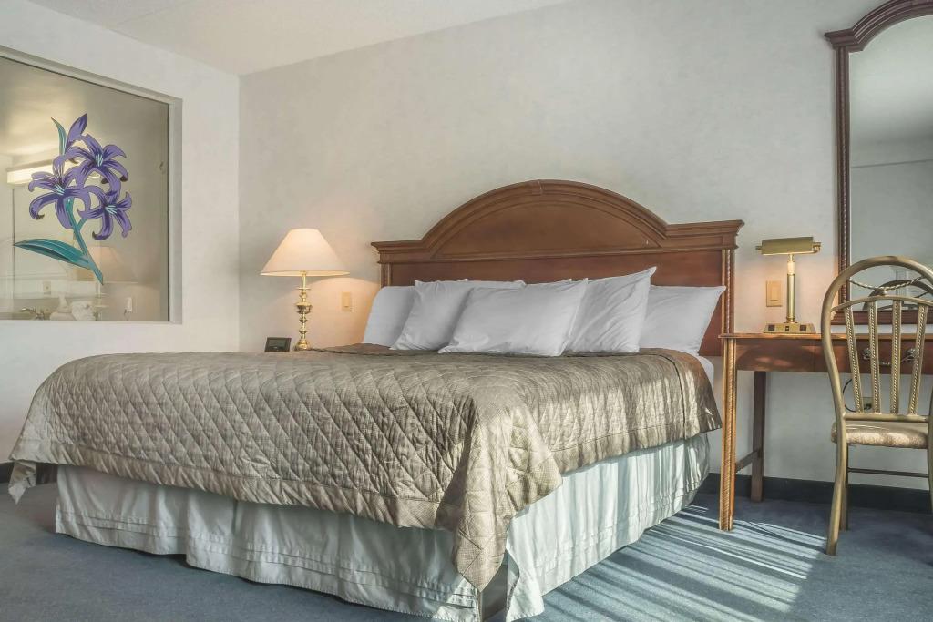 hotel image 30