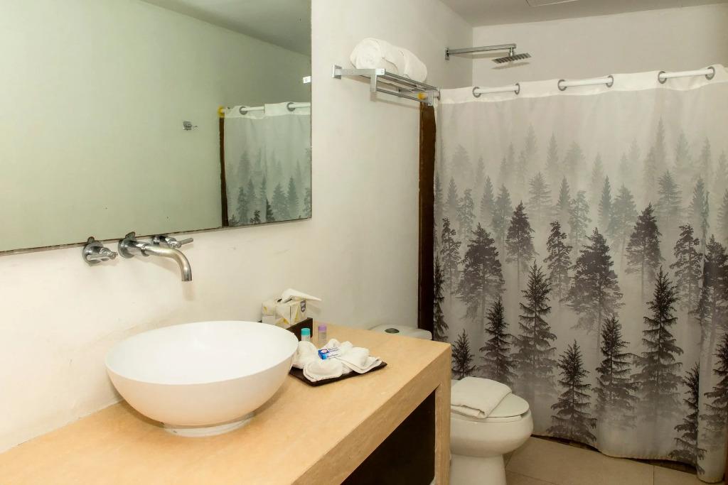 hotel image 12