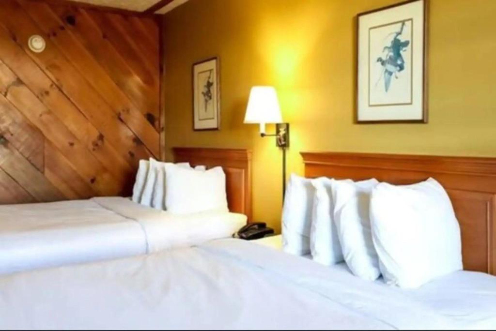 hotel image 23