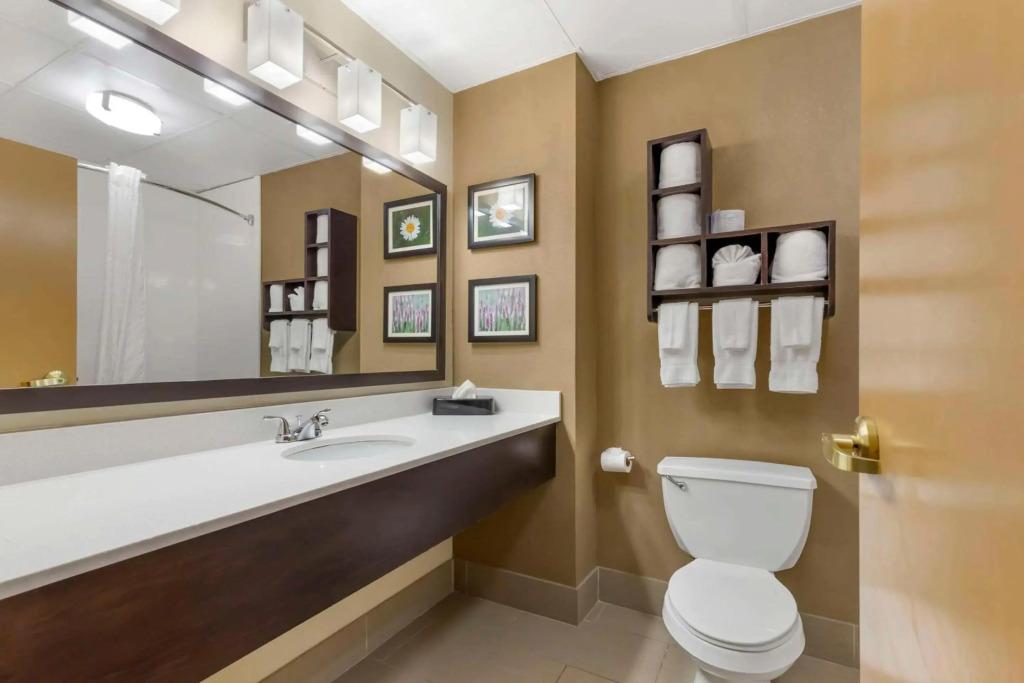 hotel image 20