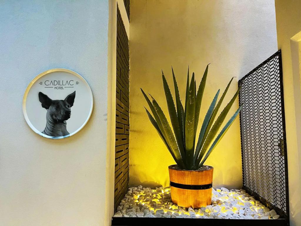 hotel image 9