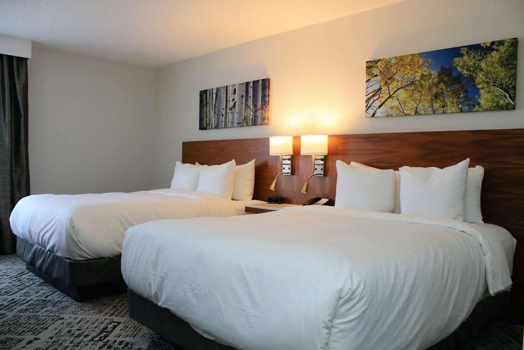 hotel image 14