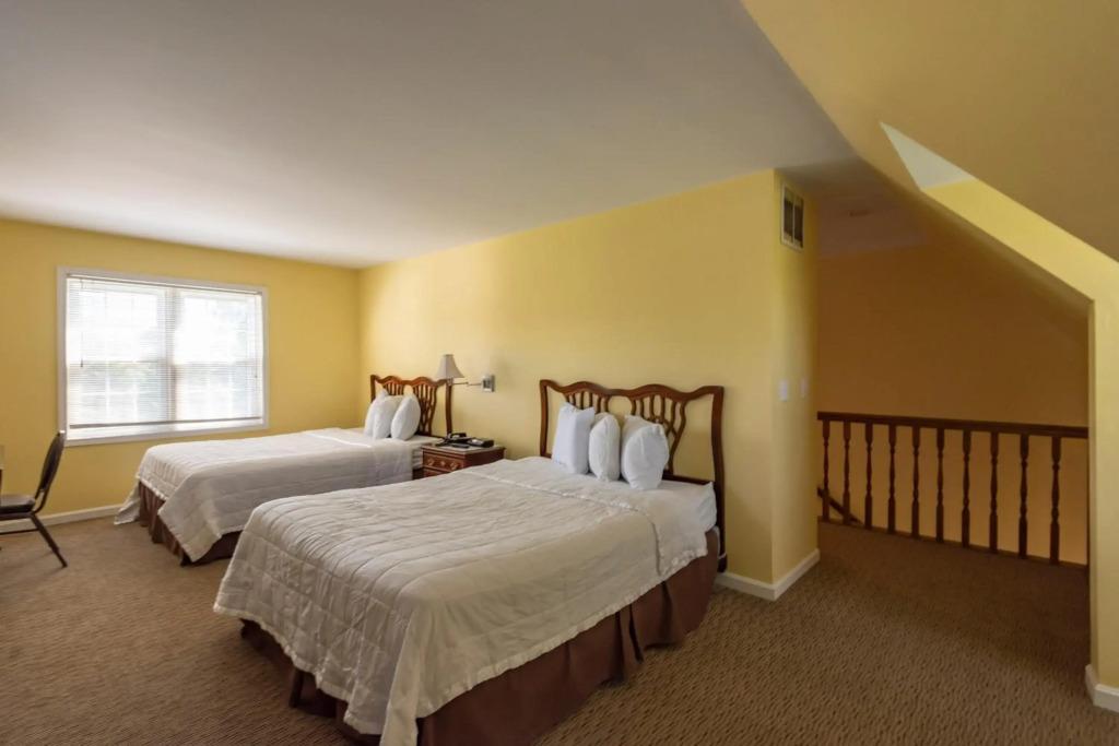 hotel image 21