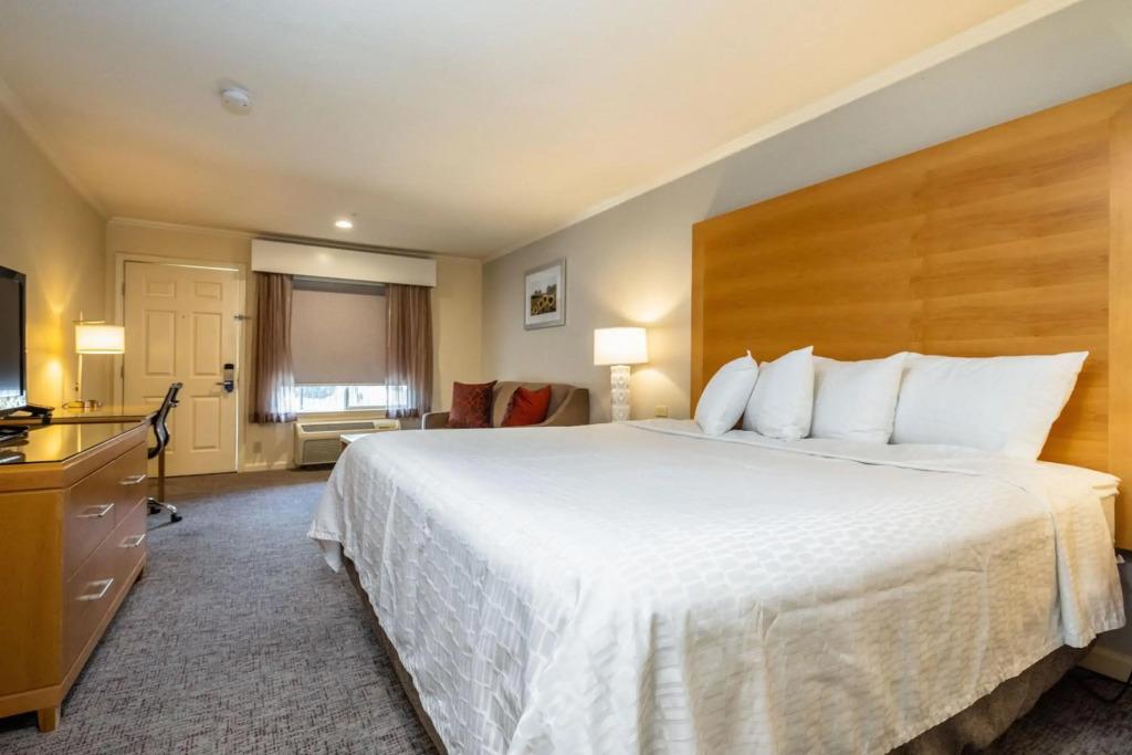 hotel image 23