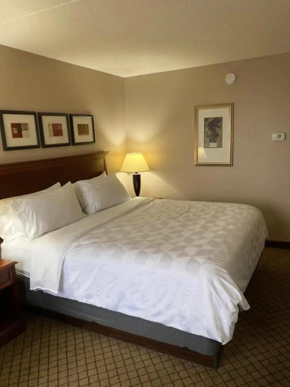 hotel image 28