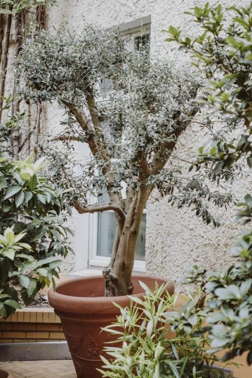 hotel image 10