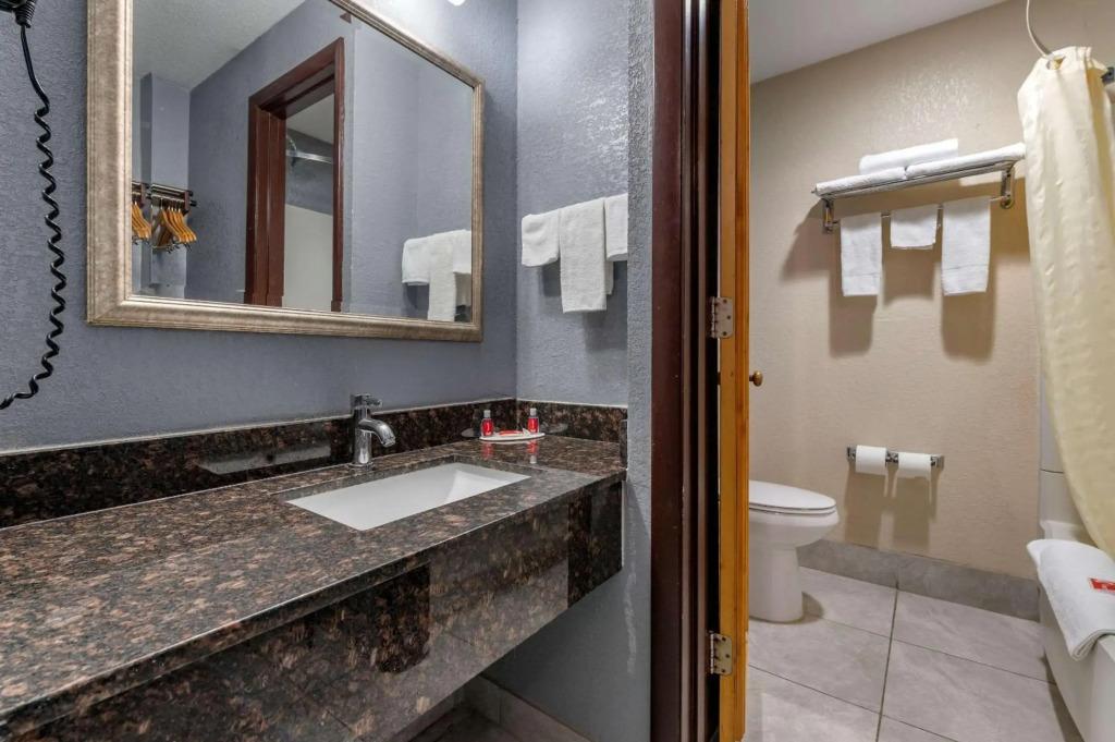 hotel image 10