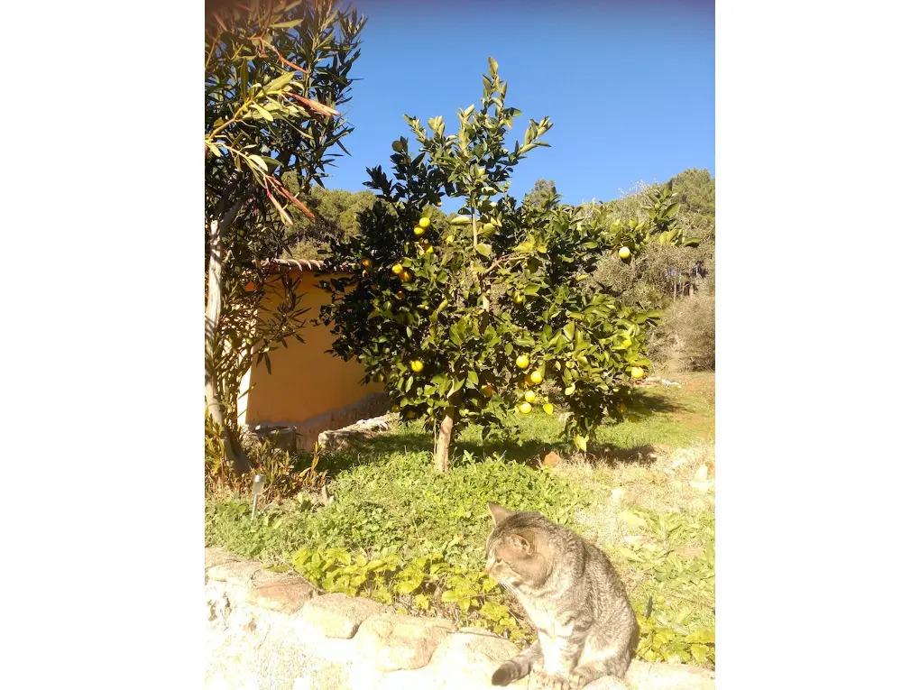 hotel image 17