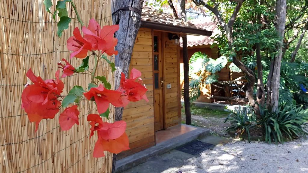 hotel image 27