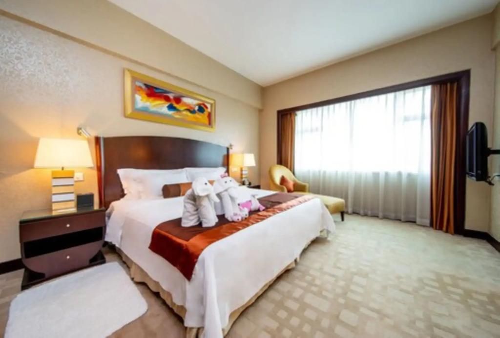 hotel image 15