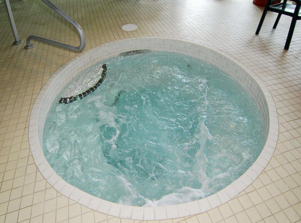hotel image 8