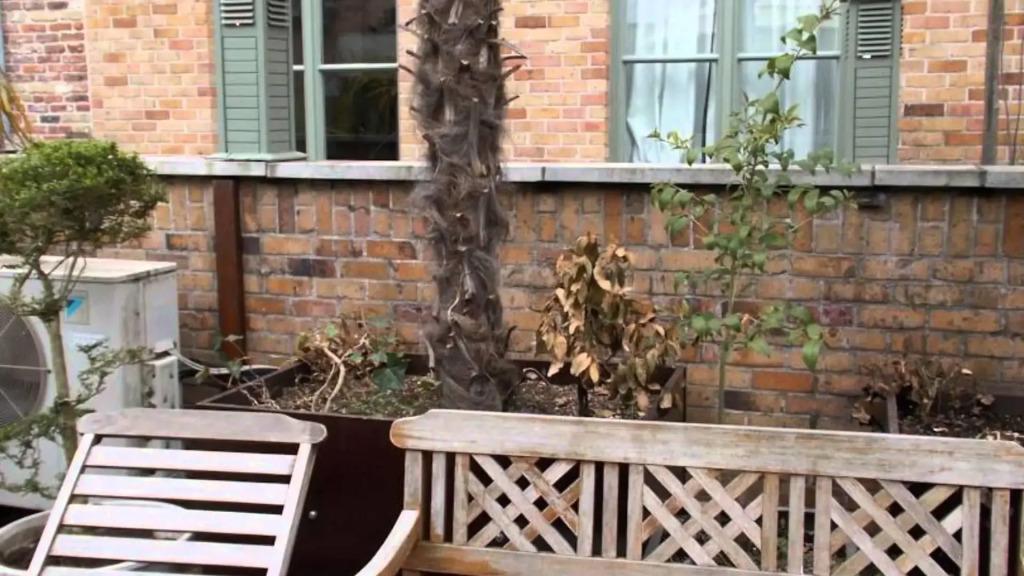 hotel image 31