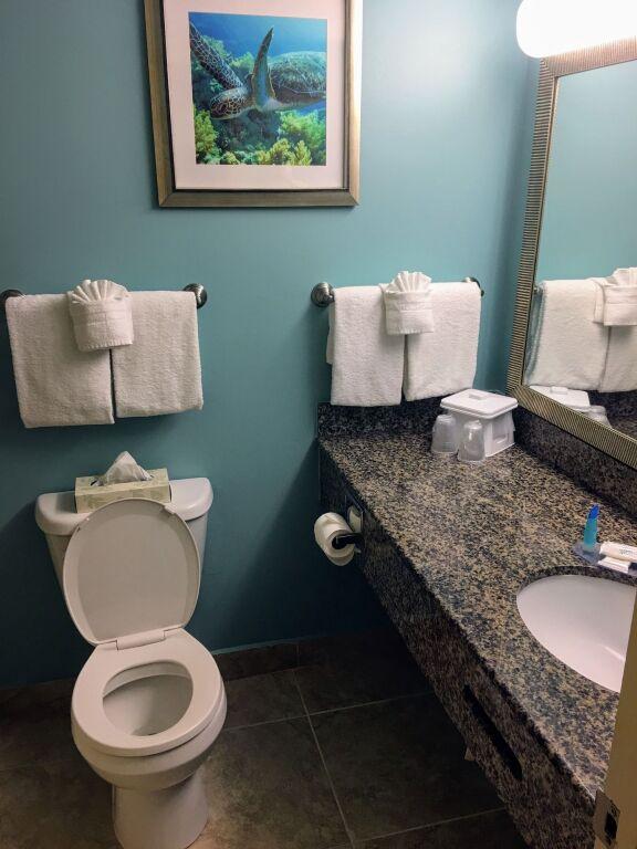 hotel image 16