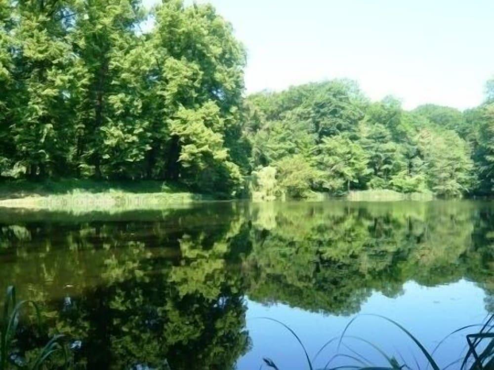 hotel image 23