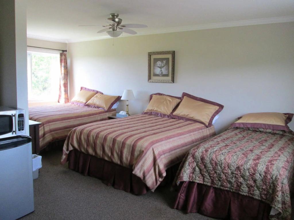 hotel image 35