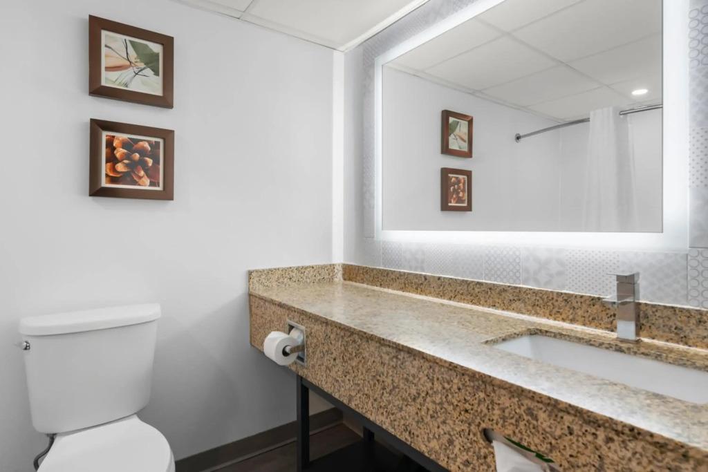 hotel image 14