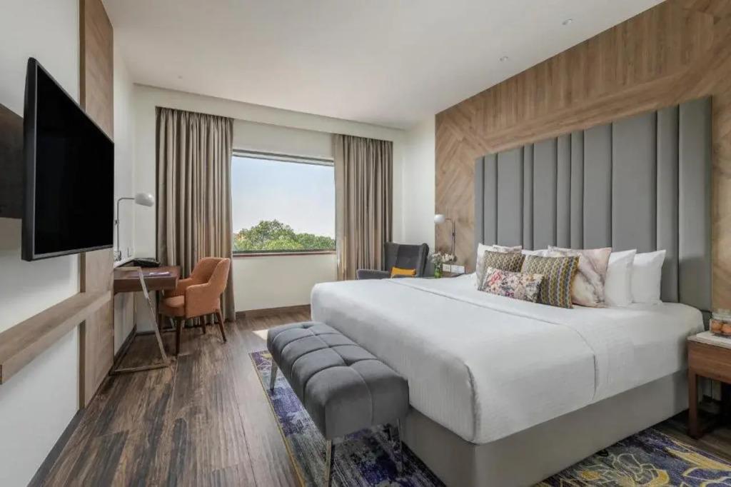 hotel image 19
