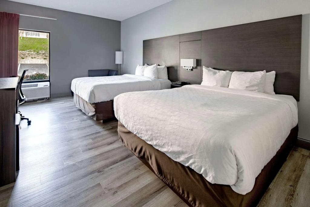 hotel image 48