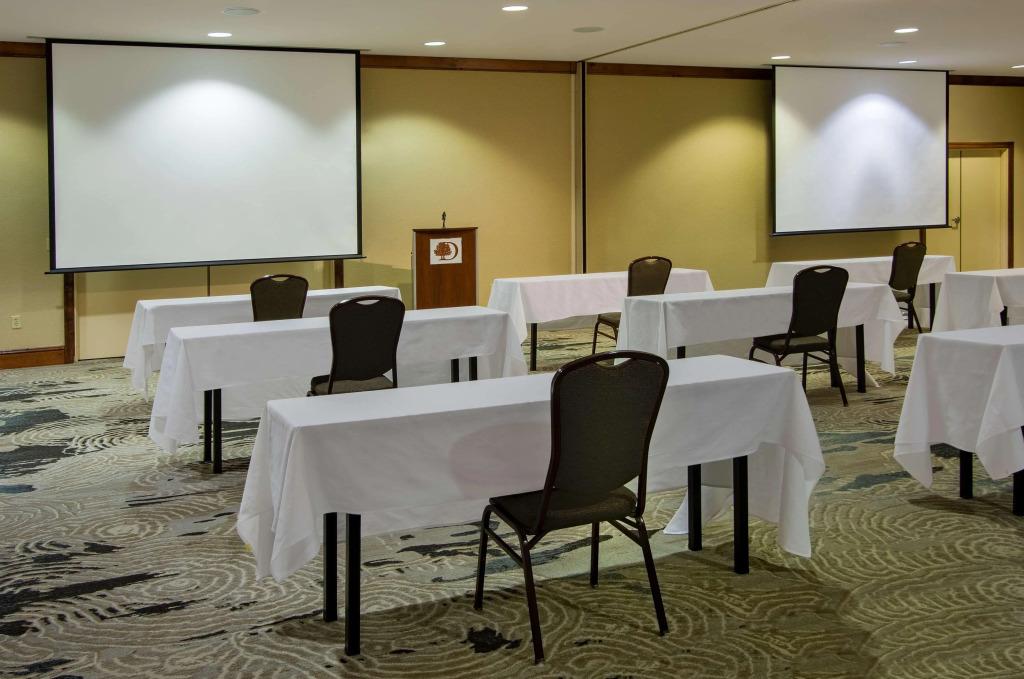 hotel image 21