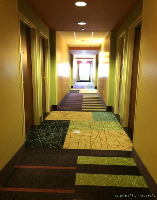 hotel image 15