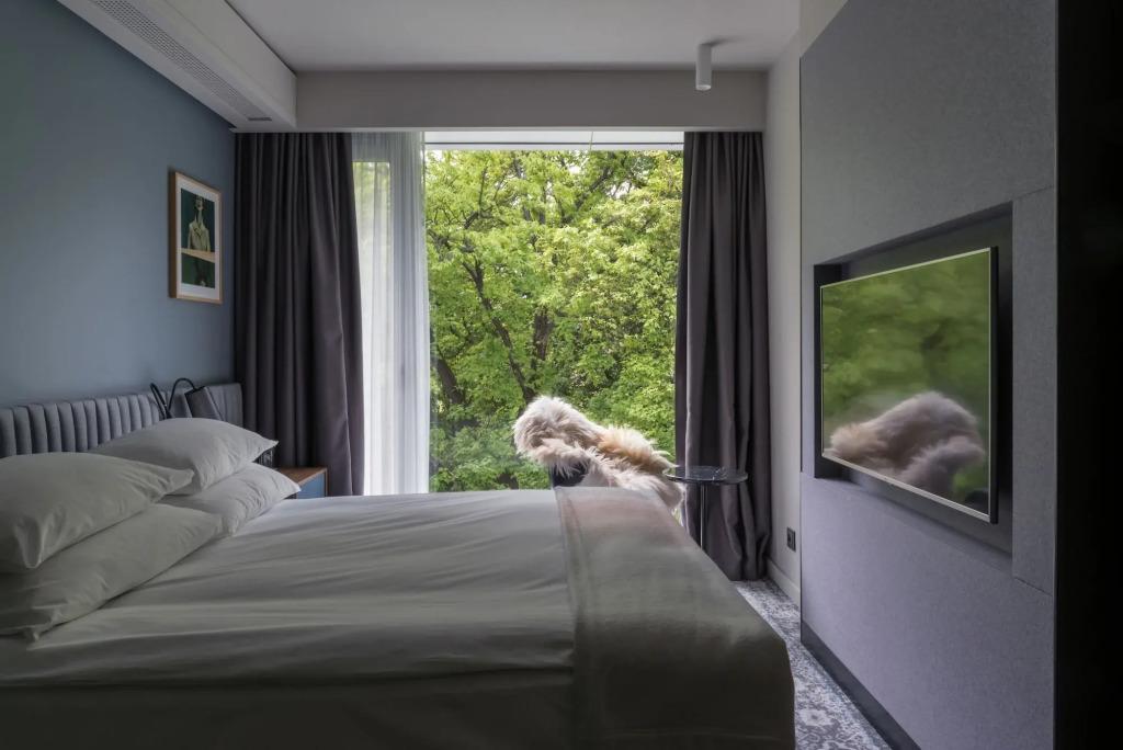 hotel image 7