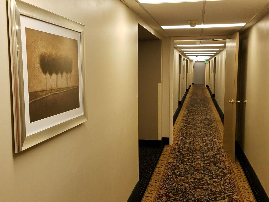 hotel image 20