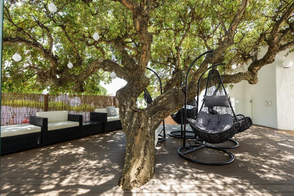 hotel image 38