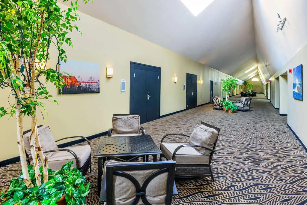 hotel image 49