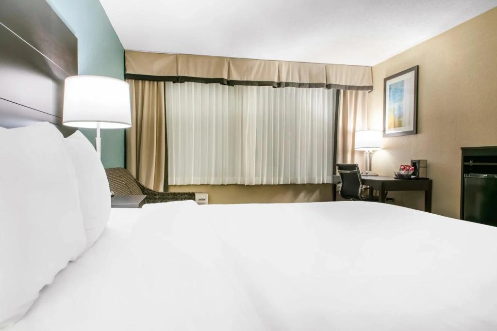 hotel image 31