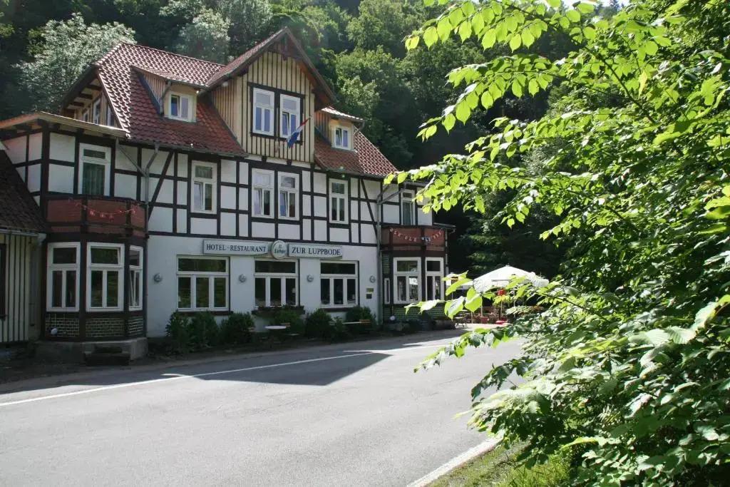 hotel image 12