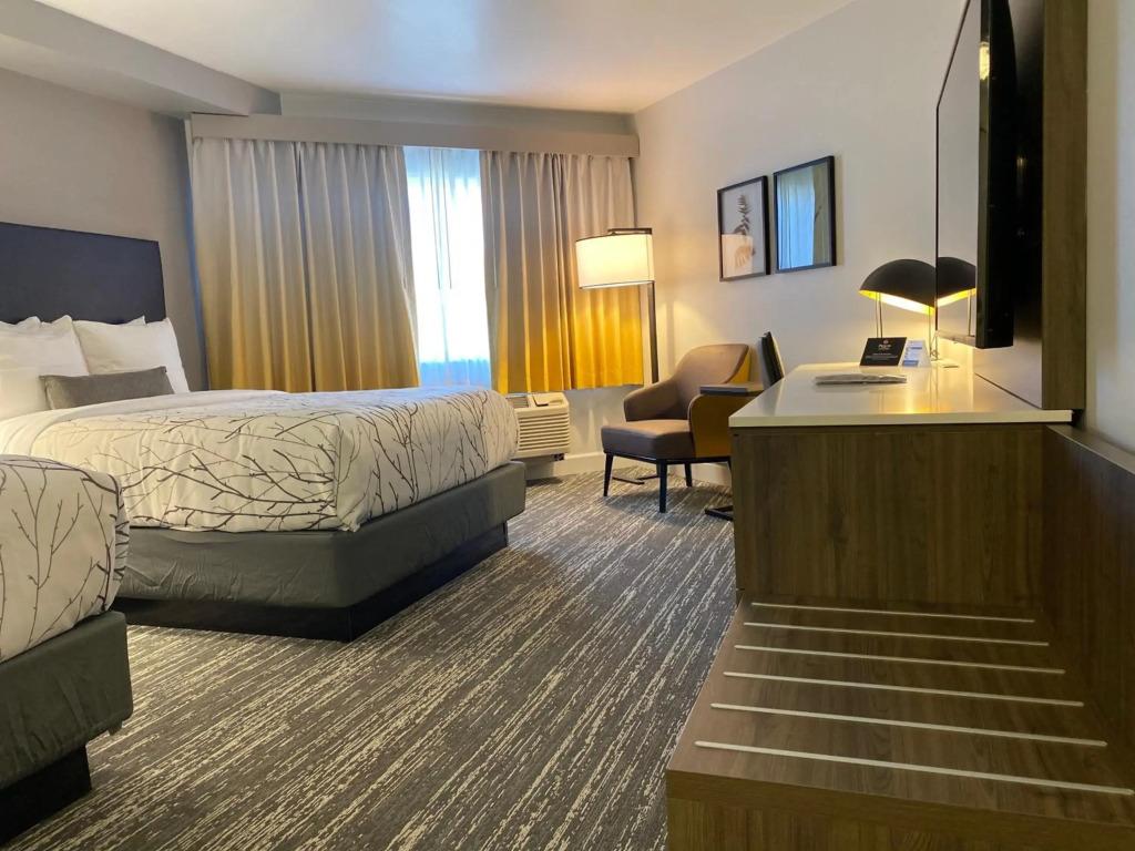 hotel image 16